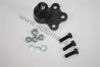 AUTOMEGA 1016030167 Ball Joint